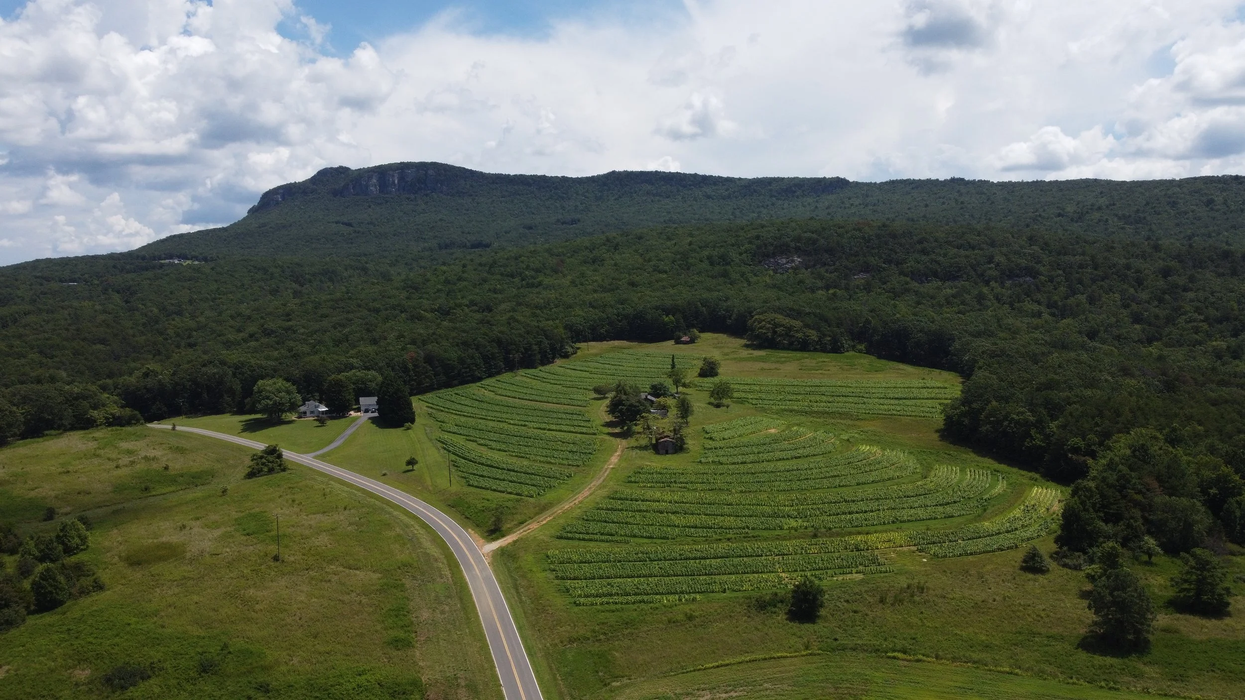 Aerial Photography Showcase — photo 9