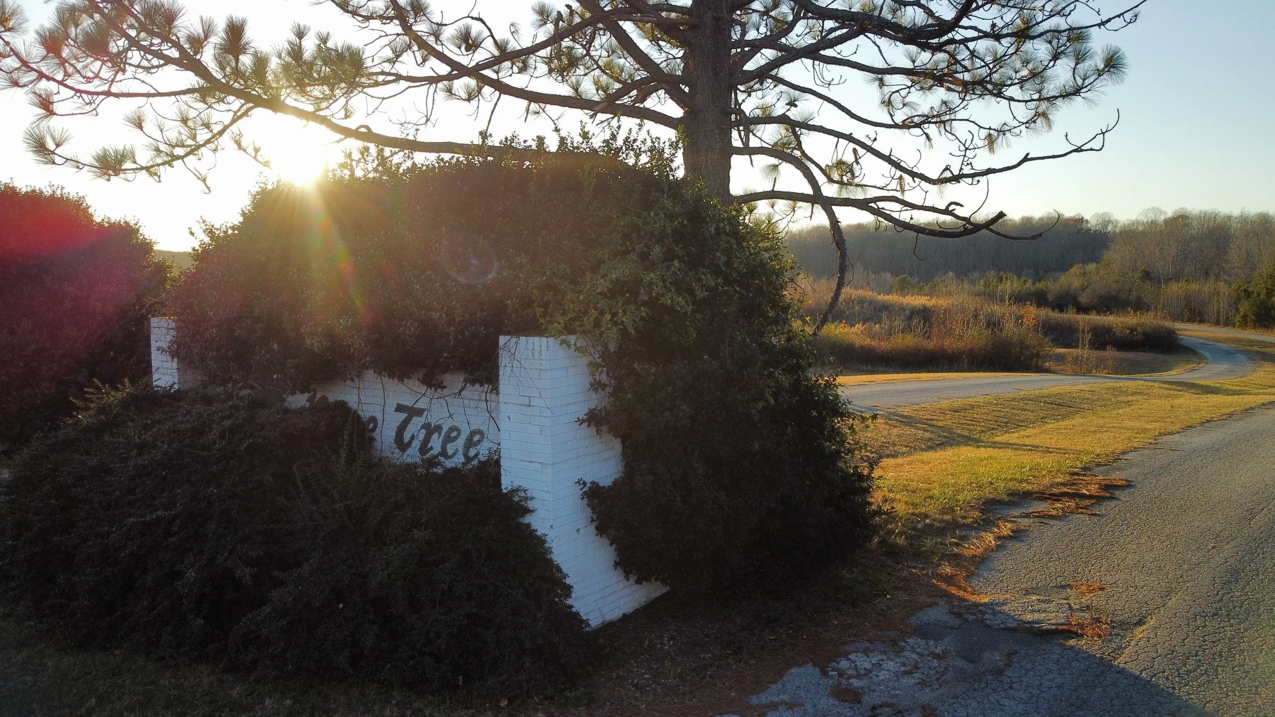 Aerial Photography Showcase — photo 4